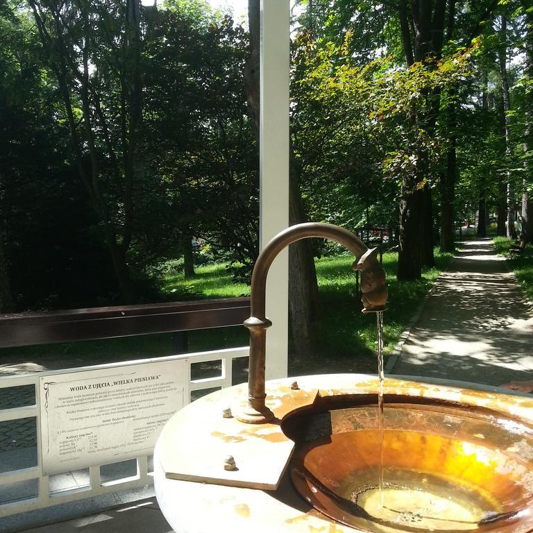 Villa Almira Polanica-Zdroj Bagian luar foto